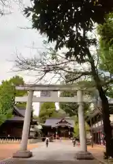 熊野神社(東京都)