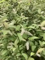 日蓮宗瑞光山久遠寺の庭園