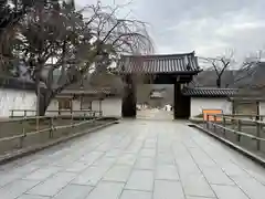 醍醐寺(京都府)