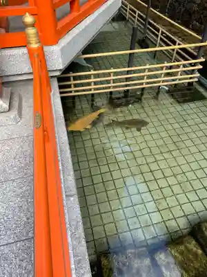 頂法寺（六角堂）(京都府)