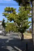 鶴嶺八幡宮のその他建物