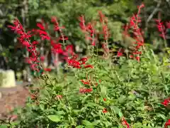 木舟山　順教寺の自然