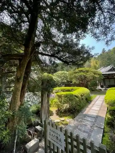 寿福寺の庭園