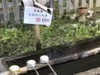 二尊院の手水舎