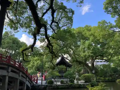 太宰府天満宮の庭園