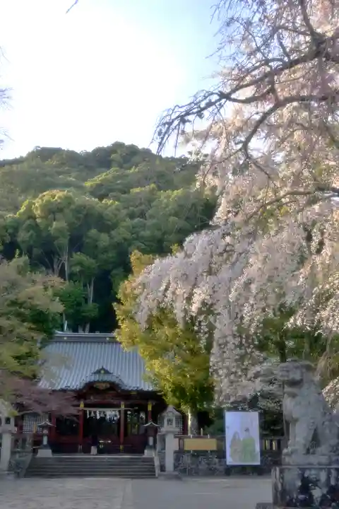 伊豆山神社(静岡県)