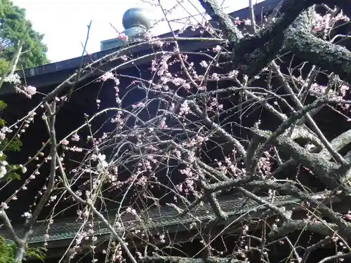 瑞泉寺のその他建物