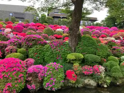根津神社(東京都)