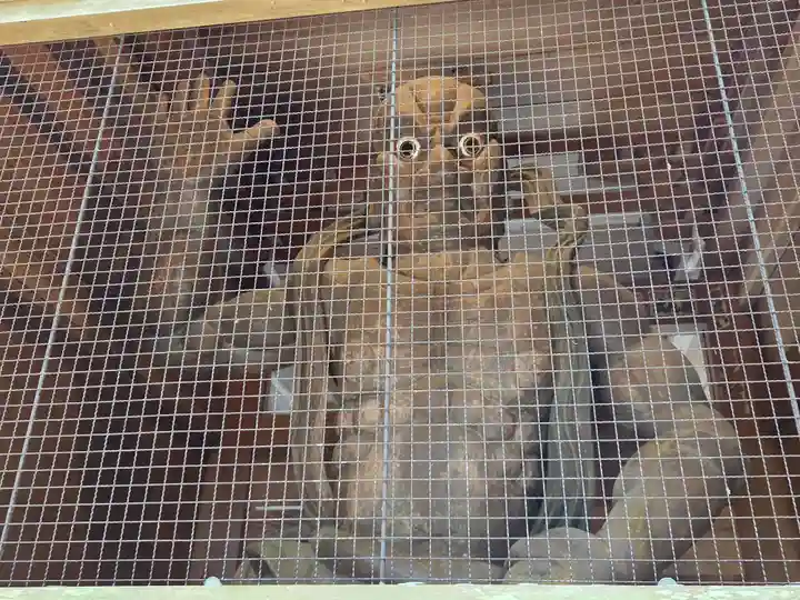 最御崎寺(高知県)