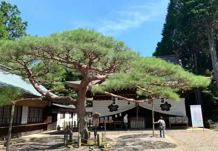 尾張冨士大宮浅間神社のその他建物