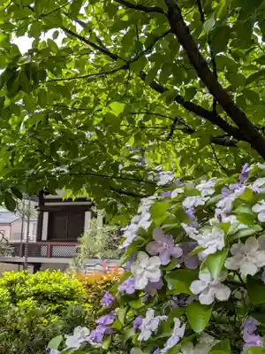 源空寺(東京都)