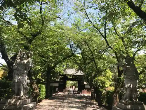 安養寺の自然