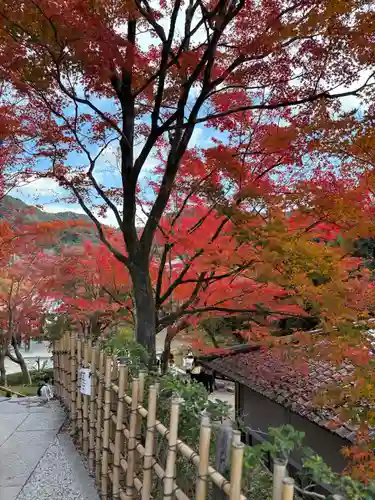 平等院(京都府)