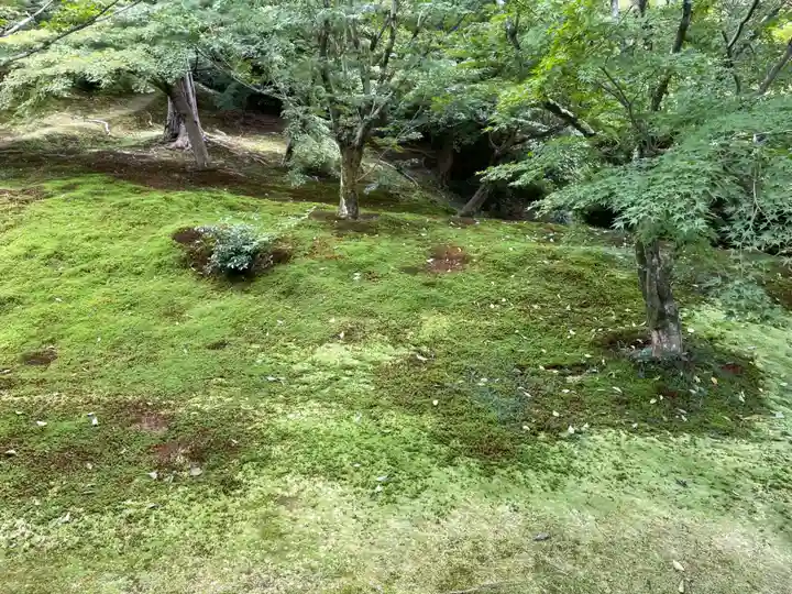 東福禅寺(東福寺)(京都府)