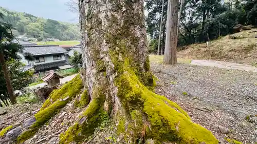 白藤神社(兵庫県)