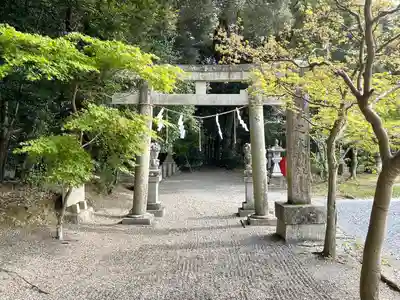 杉之木神社の鳥居