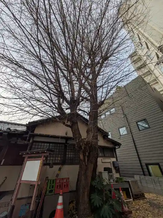 宗参寺大辨財天堂(東京都)