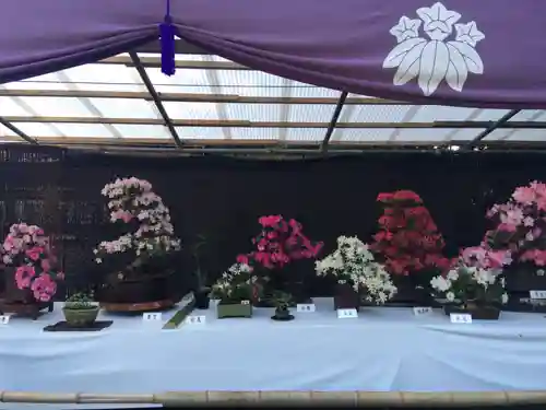 大宮八幡宮のその他建物