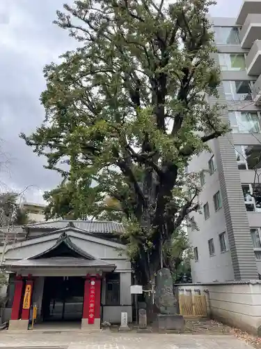 品川寺(東京都)