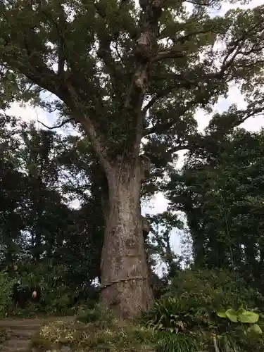 揖宿神社の建物その他