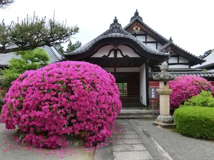 當麻寺 奥院の自然