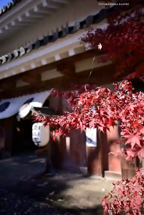 目の霊山 油山寺(静岡県)