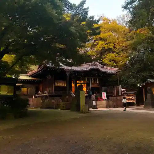 代々木八幡宮の本殿・本堂