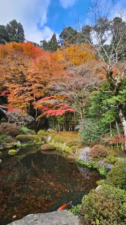 寂光院(京都府)