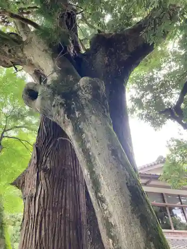 若宮神社(滋賀県)