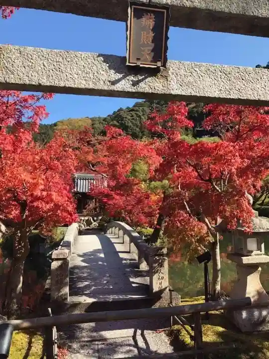 禅林寺(永観堂)(京都府)