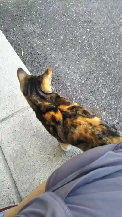 遠野郷八幡宮の動物