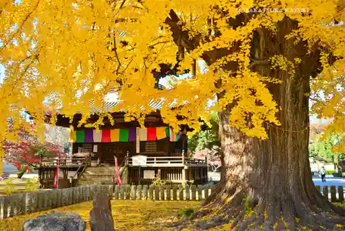 鑁阿寺(栃木県)