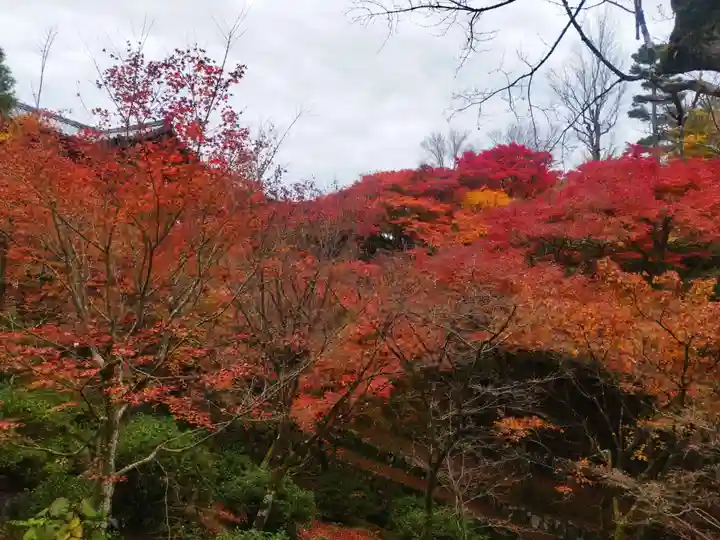 東福禅寺(東福寺)(京都府)