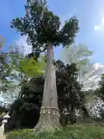 熊野神社(千葉県)
