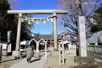 浅草神社の鳥居