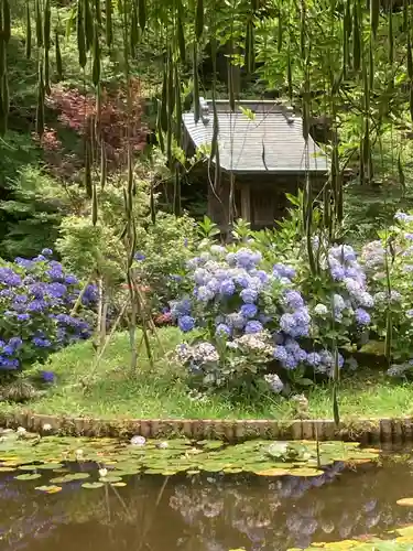 本土寺(千葉県)