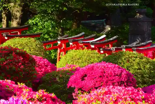 根津神社(東京都)