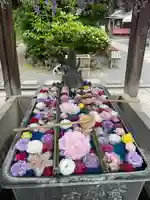 柳谷観音 楊谷寺(京都府)