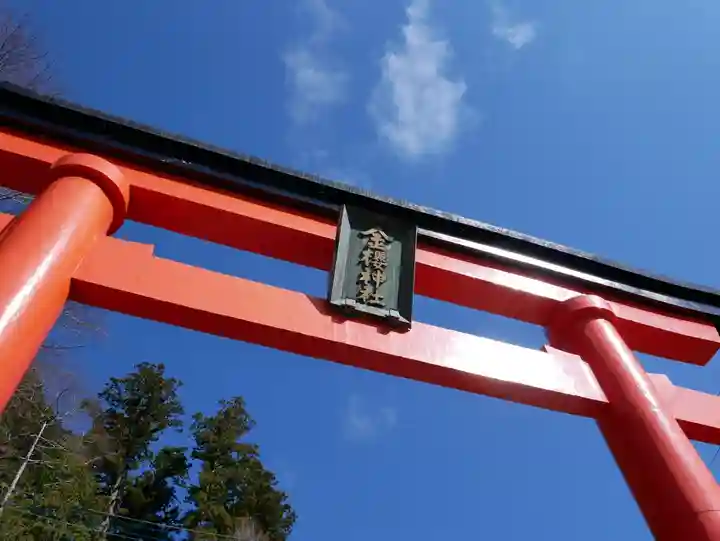 金櫻神社の鳥居