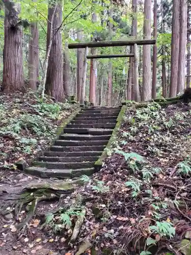 戸隠神社宝光社の鳥居