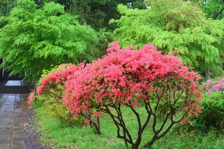 豊景神社の庭園