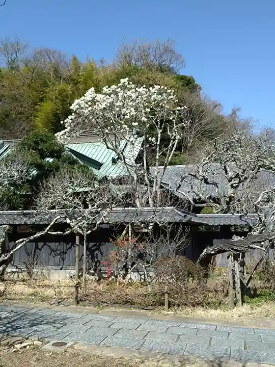 東慶寺(神奈川県)