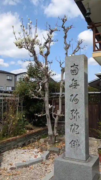 阿弥陀院(大阪府)