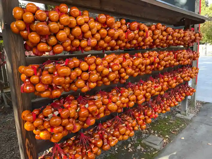 盛岡八幡宮のおみくじ