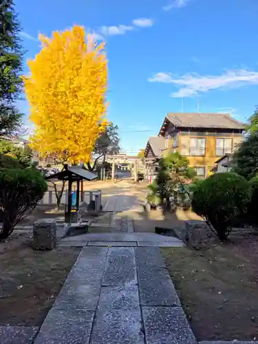 香取神社（関宿香取神社）(千葉県)