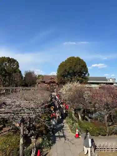 亀戸天神社の{uncategorized: "未分類", other: "その他", undefined: "問題あり", building: "その他建物", grave: "お墓", sacred_gate: "鳥居", guardian: "狛犬", statue: "像", buddha: "仏像", history: "歴史", nature: "自然", garden: "庭園", animal: "動物", pagoda: "塔", temizu: "手水舎", mountain_gate: "山門・神門", sanctuary: "本殿・本堂", subordinate: "末社・摂社", art: "芸術", scenery: "景色", jizo: "地蔵", ema: "絵馬", goshuin: "御朱印", omikuji: "おみくじ", items: "授与品その他", amulet: "お守り", goshuincho: "御朱印帳", eats: "食事", festival: "お祭り", votive_dance: "神楽", shichigosan: "七五三参", wedding: "結婚式", experience: "体験その他", initially: "初詣", around: "周辺", anti_infection: "感染症対策"}