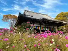 般若寺 ❁﻿コスモス寺❁の本殿