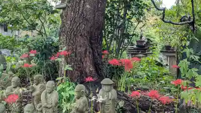 常泉寺(神奈川県)