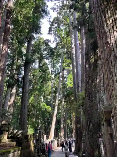 高野山金剛峯寺奥の院(和歌山県)