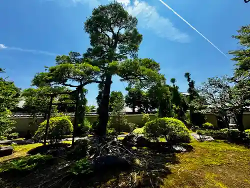 天球院(京都府)
